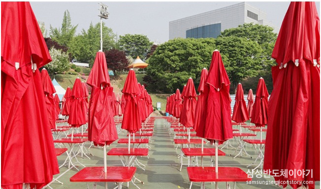 철쭉제5