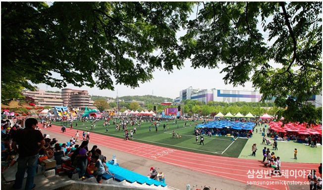 철쭉제6